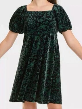 Wicked velvet dress by Paul Tazewell